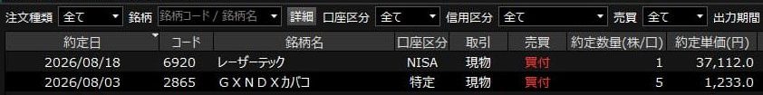 レーザーテックナンピン